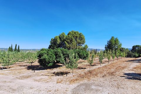 Finca i Ginestar, Tarragona, Ginestar - € 7 000 | Ref: CC846 - foto 2